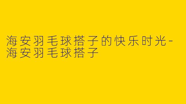 海安羽毛球搭子的快乐时光-海安羽毛球搭子