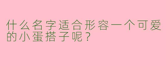 什么名字适合形容一个可爱的小蛋搭子呢?
