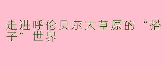 走进呼伦贝尔大草原的“搭子”世界