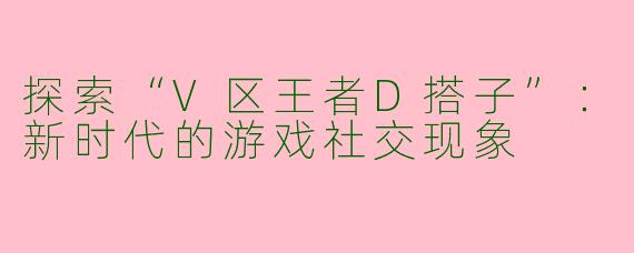 探索“V区王者D搭子”：新时代的游戏社交现象
