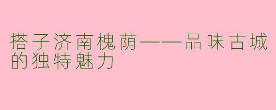 搭子济南槐荫——品味古城的独特魅力