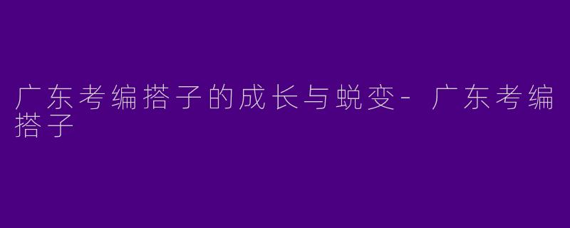 广东考编搭子的成长与蜕变-广东考编搭子