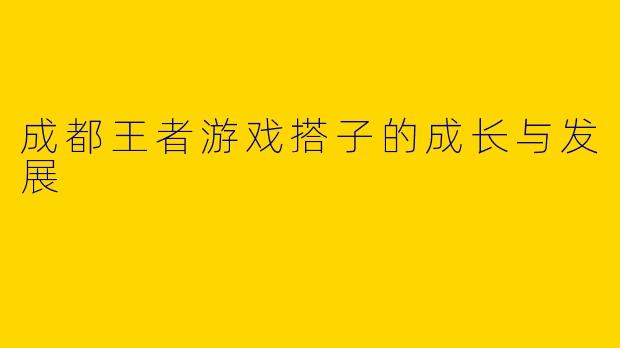 成都王者游戏搭子的成长与发展