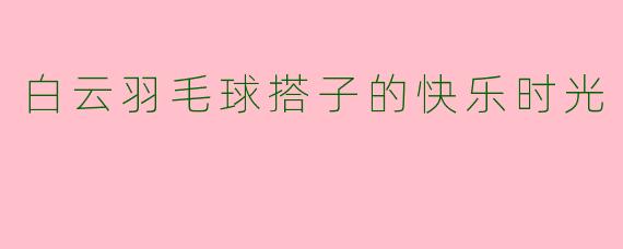 白云羽毛球搭子的快乐时光