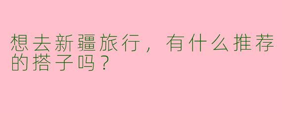 想去新疆旅行，有什么推荐的搭子吗？