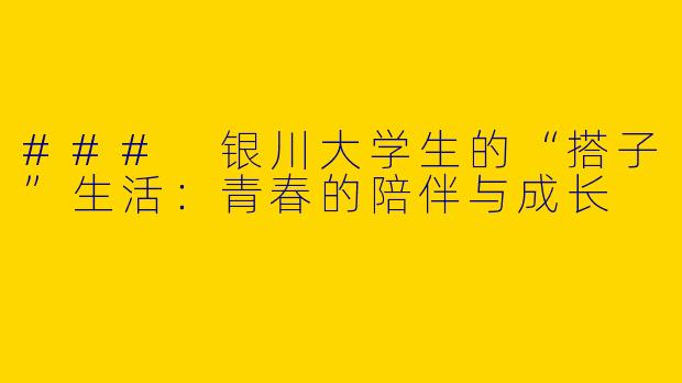 ### 银川大学生的“搭子”生活：青春的陪伴与成长