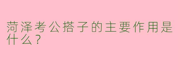 菏泽考公搭子的主要作用是什么？