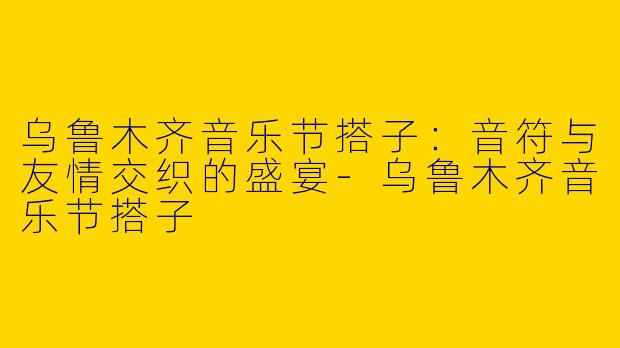 乌鲁木齐音乐节搭子：音符与友情交织的盛宴
