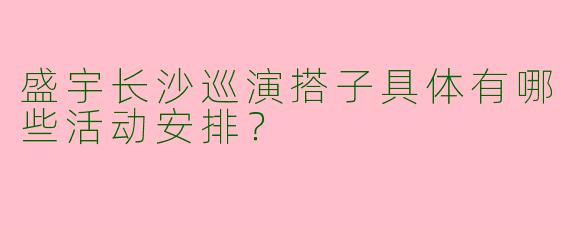 盛宇长沙巡演搭子具体有哪些活动安排？
