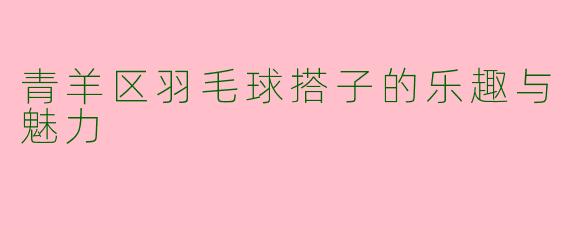 青羊区羽毛球搭子的乐趣与魅力