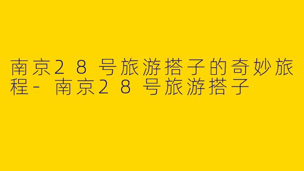 南京28号旅游搭子的奇妙旅程-南京28号旅游搭子