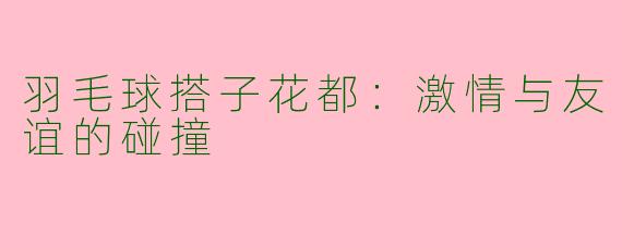 羽毛球搭子花都：激情与友谊的碰撞