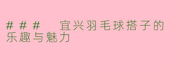 ### 宜兴羽毛球搭子的乐趣与魅力