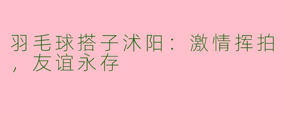 羽毛球搭子沭阳：激情挥拍，友谊永存