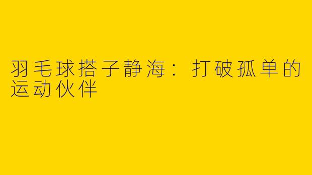 羽毛球搭子静海：打破孤单的运动伙伴