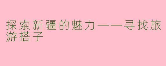 探索新疆的魅力——寻找旅游搭子