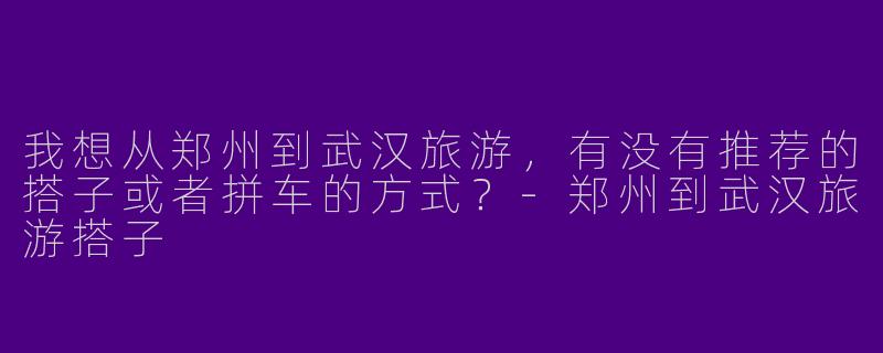 我想从郑州到武汉旅游，有没有推荐的搭子或者拼车的方式？