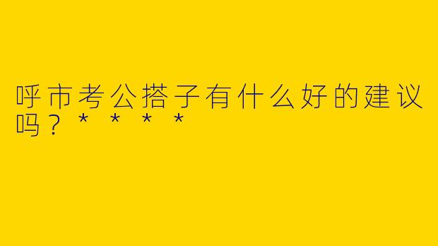 呼市考公搭子有什么好的建议吗？****