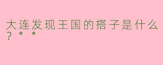 大连发现王国的搭子是什么？**