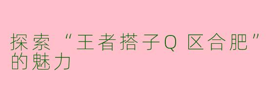 探索“王者搭子Q区合肥”的魅力