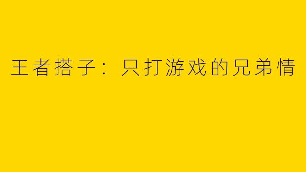 王者搭子：只打游戏的兄弟情