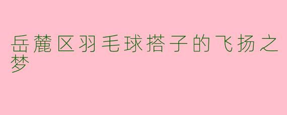 岳麓区羽毛球搭子的飞扬之梦