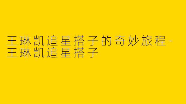 王琳凯追星搭子的奇妙旅程-王琳凯追星搭子