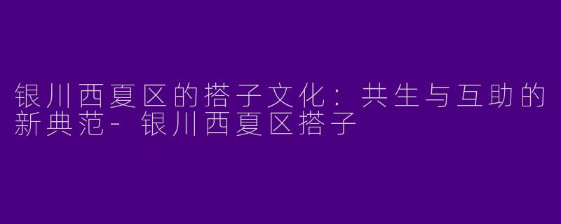 银川西夏区的搭子文化：共生与互助的新典范-银川西夏区搭子