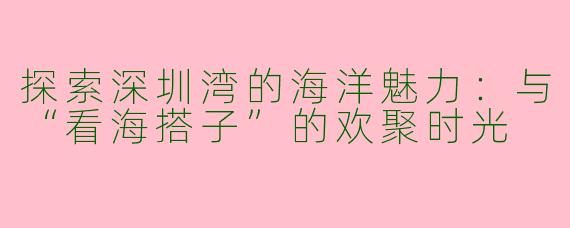 探索深圳湾的海洋魅力：与“看海搭子”的欢聚时光