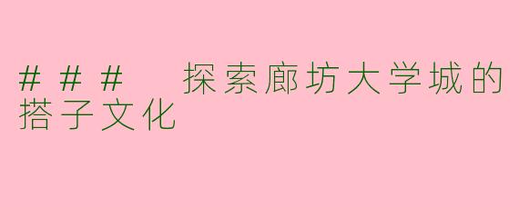 ### 探索廊坊大学城的搭子文化