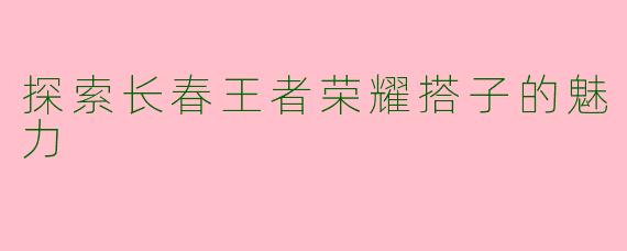 探索长春王者荣耀搭子的魅力