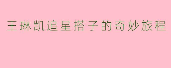 王琳凯追星搭子的奇妙旅程