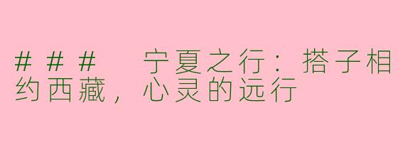 ### 宁夏之行：搭子相约西藏，心灵的远行