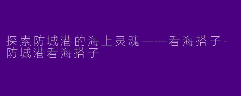 探索防城港的海上灵魂——看海搭子