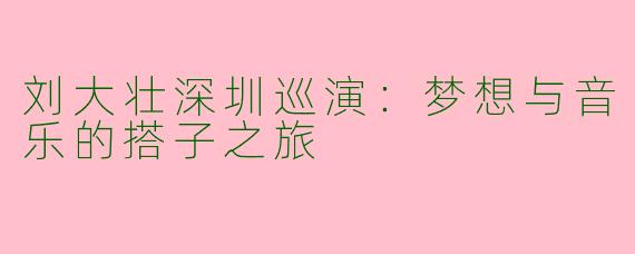 刘大壮深圳巡演：梦想与音乐的搭子之旅