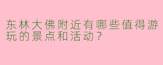 东林大佛附近有哪些值得游玩的景点和活动？