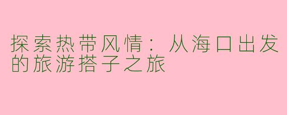 探索热带风情：从海口出发的旅游搭子之旅