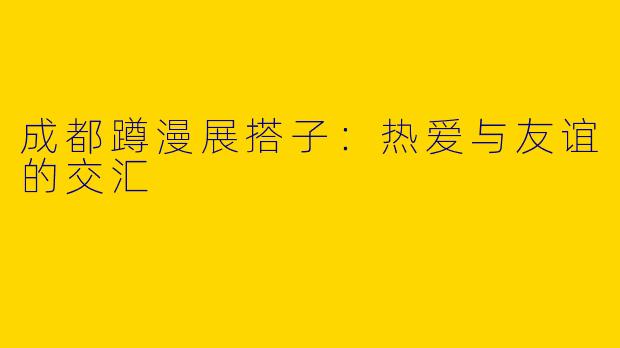 成都蹲漫展搭子：热爱与友谊的交汇