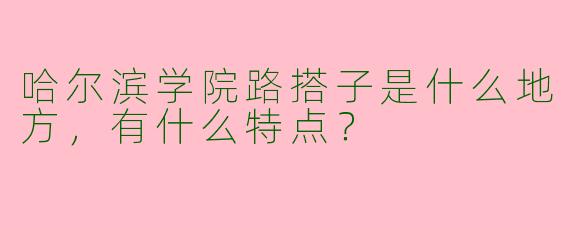 哈尔滨学院路搭子是什么地方,有什么特点?