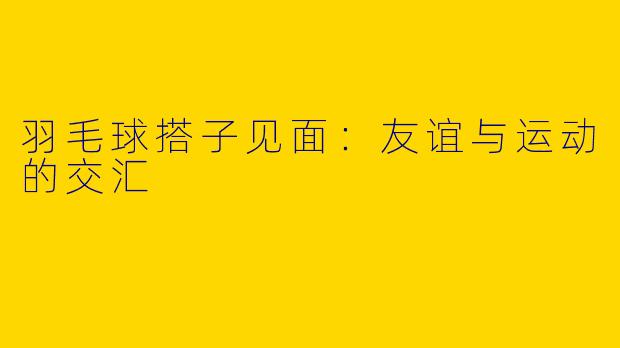 羽毛球搭子见面：友谊与运动的交汇