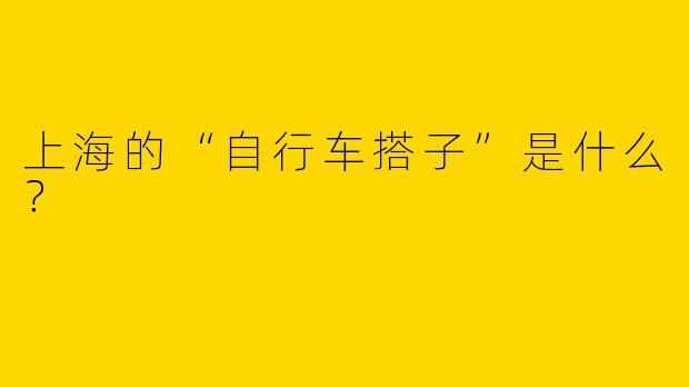 上海的“自行车搭子”是什么？