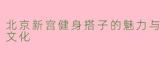 北京新宫健身搭子的魅力与文化