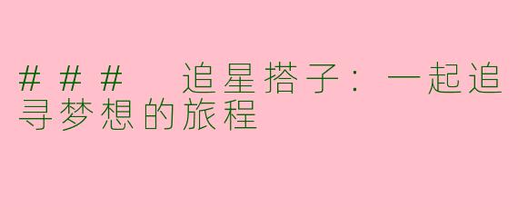 ### 追星搭子：一起追寻梦想的旅程