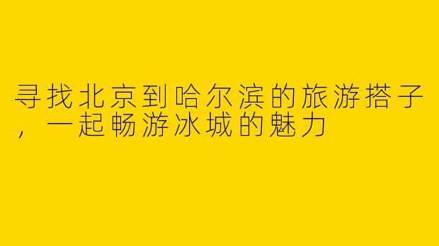 寻找北京到哈尔滨的旅游搭子，一起畅游冰城的魅力