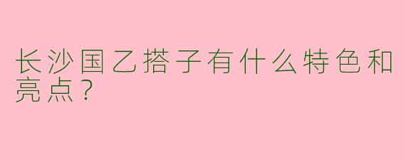 长沙国乙搭子有什么特色和亮点?