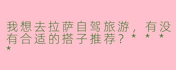 我想去拉萨自驾旅游，有没有合适的搭子推荐？****