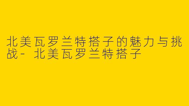 北美瓦罗兰特搭子的魅力与挑战-北美瓦罗兰特搭子