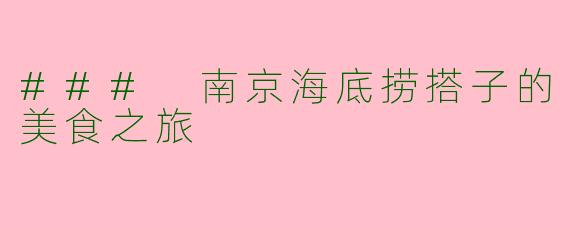 ### 南京海底捞搭子的美食之旅