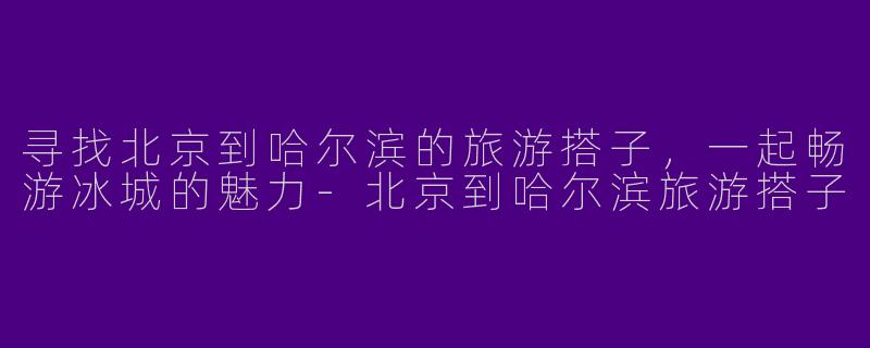 寻找北京到哈尔滨的旅游搭子，一起畅游冰城的魅力