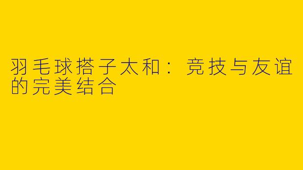 羽毛球搭子太和：竞技与友谊的完美结合